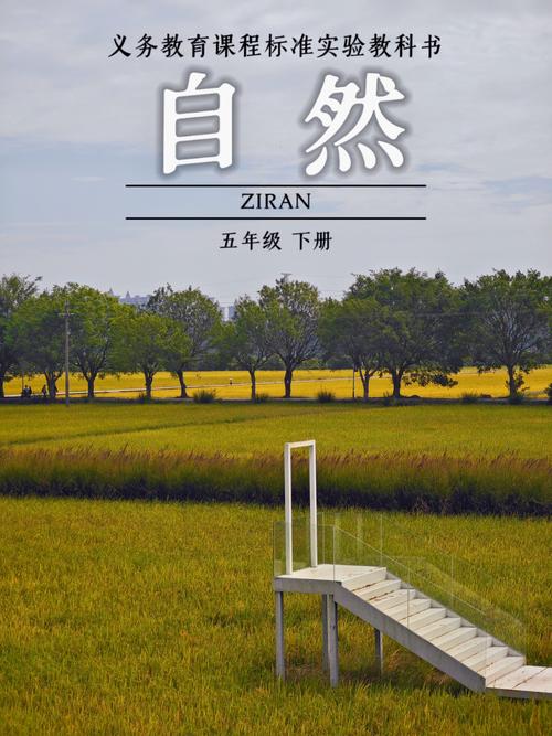 【图刊】风吹麦田层层浪,又到一年“三夏”时